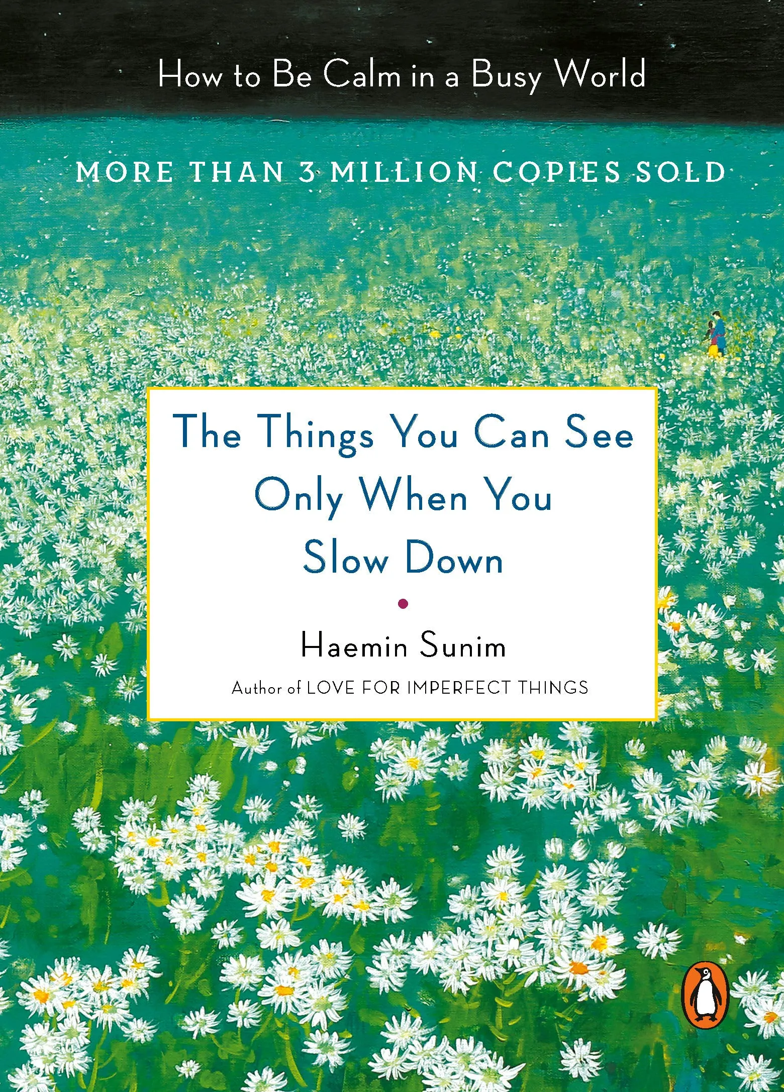 The Things You Can See Only When You Slow Down book cover